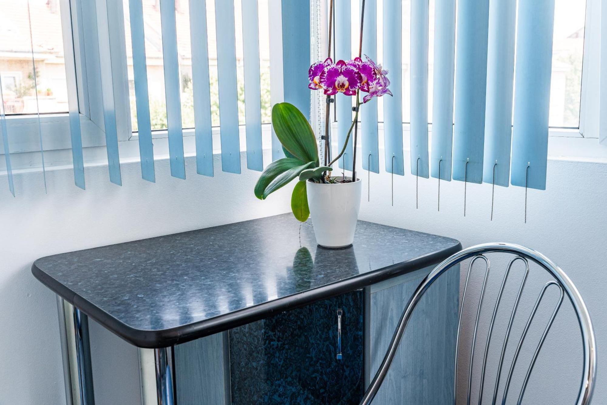 Arad Central Joy - Mihaela Apartment Экстерьер фото